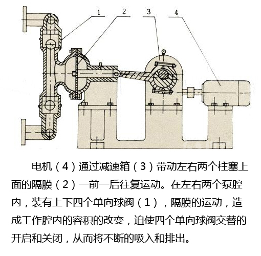 電動(dòng)隔膜泵結(jié)構(gòu)圖